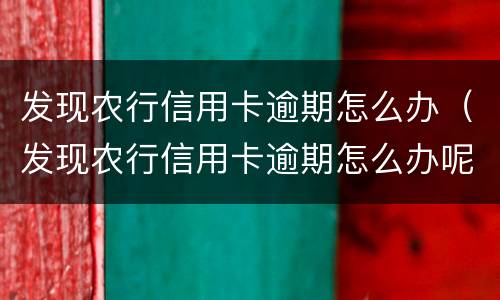 发现农行信用卡逾期怎么办（发现农行信用卡逾期怎么办呢）