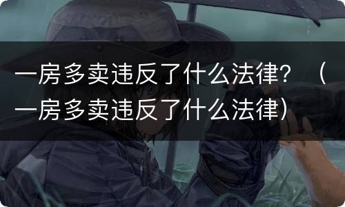 一房多卖违反了什么法律？（一房多卖违反了什么法律）