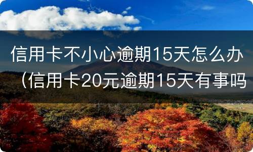 信用卡不小心逾期15天怎么办（信用卡20元逾期15天有事吗）