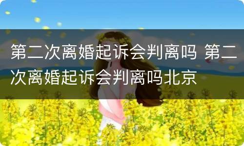 第二次离婚起诉会判离吗 第二次离婚起诉会判离吗北京