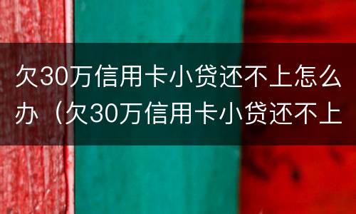 欠30万信用卡小贷还不上怎么办（欠30万信用卡小贷还不上怎么办呀）