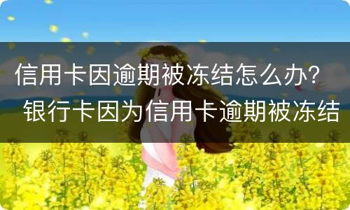 信用卡因逾期被冻结怎么办？ 银行卡因为信用卡逾期被冻结怎么办