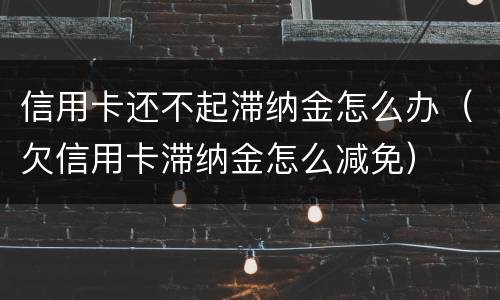 信用卡还不起滞纳金怎么办（欠信用卡滞纳金怎么减免）