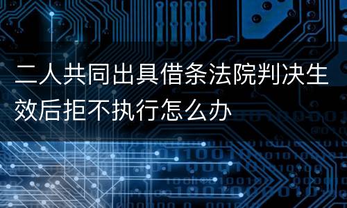二人共同出具借条法院判决生效后拒不执行怎么办
