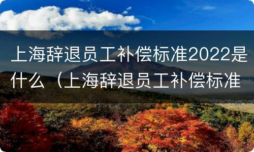 上海辞退员工补偿标准2022是什么（上海辞退员工补偿标准2022是什么时候发放）