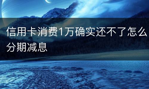 信用卡消费1万确实还不了怎么分期减息
