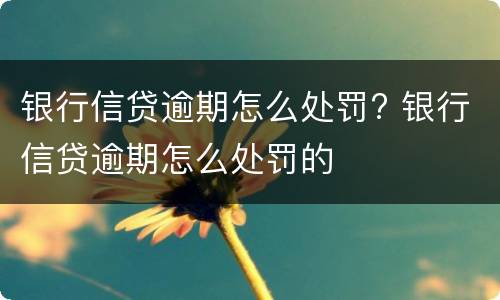 银行信贷逾期怎么处罚? 银行信贷逾期怎么处罚的