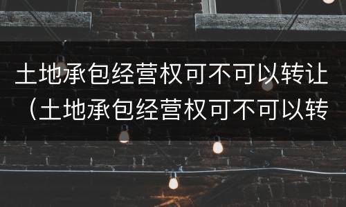 土地承包经营权可不可以转让（土地承包经营权可不可以转让给个人）