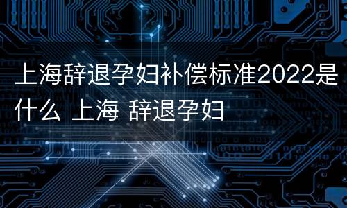 上海辞退孕妇补偿标准2022是什么 上海 辞退孕妇