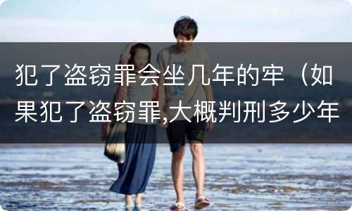 犯了盗窃罪会坐几年的牢（如果犯了盗窃罪,大概判刑多少年?）