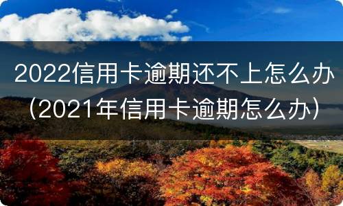 2022信用卡逾期还不上怎么办（2021年信用卡逾期怎么办）
