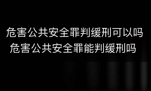 危害公共安全罪判缓刑可以吗 危害公共安全罪能判缓刑吗