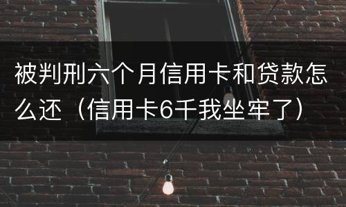 被判刑六个月信用卡和贷款怎么还（信用卡6千我坐牢了）