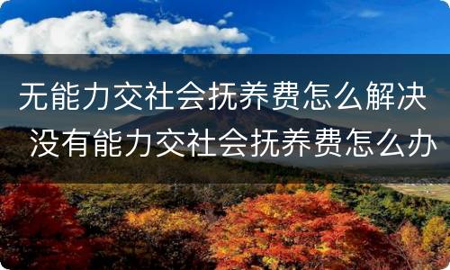 无能力交社会抚养费怎么解决 没有能力交社会抚养费怎么办