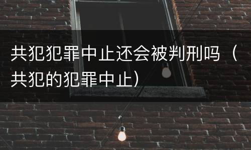 共犯犯罪中止还会被判刑吗（共犯的犯罪中止）