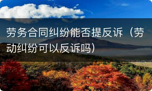 劳务合同纠纷能否提反诉（劳动纠纷可以反诉吗）