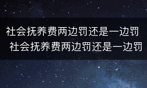 社会抚养费两边罚还是一边罚 社会抚养费两边罚还是一边罚啊