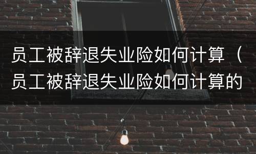 员工被辞退失业险如何计算（员工被辞退失业险如何计算的）