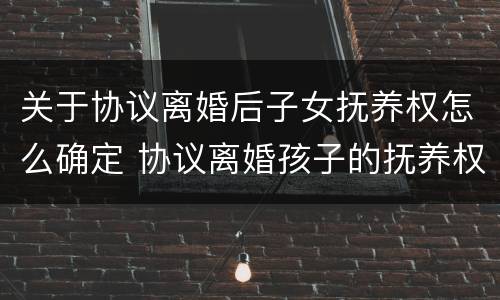 关于协议离婚后子女抚养权怎么确定 协议离婚孩子的抚养权法律怎么规定的