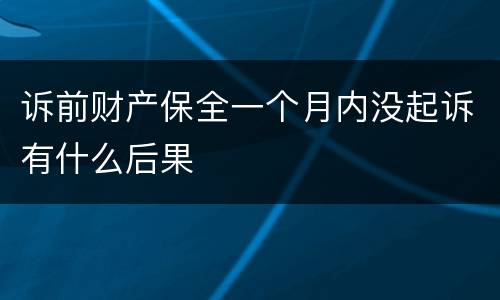 诉前财产保全一个月内没起诉有什么后果