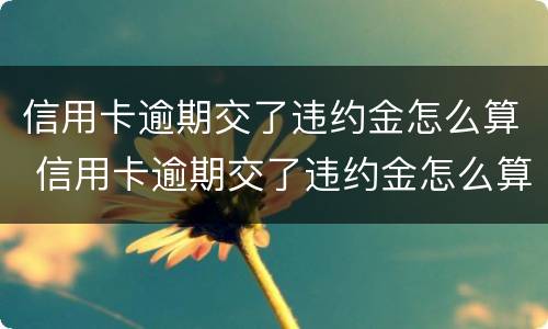 信用卡逾期交了违约金怎么算 信用卡逾期交了违约金怎么算利息