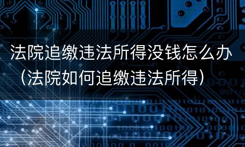 法院追缴违法所得没钱怎么办（法院如何追缴违法所得）