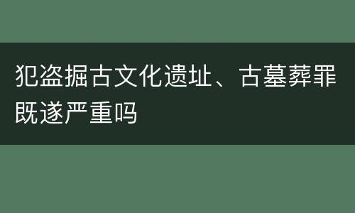 犯盗掘古文化遗址、古墓葬罪既遂严重吗
