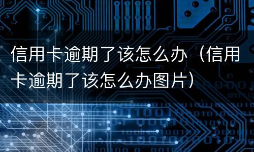 信用卡逾期了该怎么办（信用卡逾期了该怎么办图片）