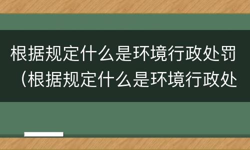 根据规定什么是环境行政处罚（根据规定什么是环境行政处罚决定）