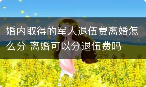 婚内取得的军人退伍费离婚怎么分 离婚可以分退伍费吗