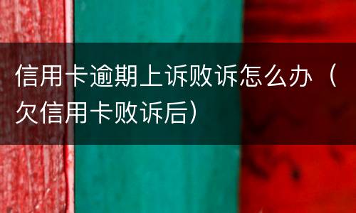 信用卡逾期上诉败诉怎么办（欠信用卡败诉后）