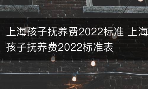 上海孩子抚养费2022标准 上海孩子抚养费2022标准表