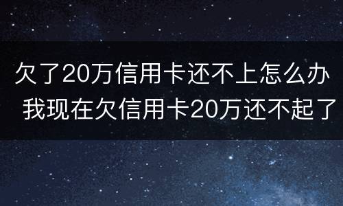 欠了20万信用卡还不上怎么办 我现在欠信用卡20万还不起了怎么办
