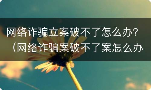 网络诈骗立案破不了怎么办？（网络诈骗案破不了案怎么办）