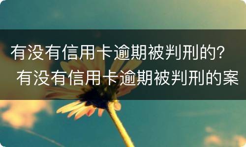 有没有信用卡逾期被判刑的？ 有没有信用卡逾期被判刑的案件