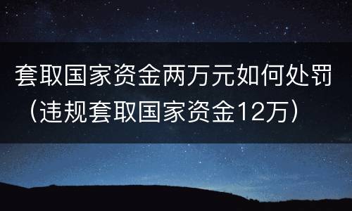 套取国家资金两万元如何处罚（违规套取国家资金12万）