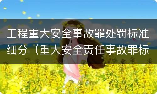 工程重大安全事故罪处罚标准细分（重大安全责任事故罪标准）