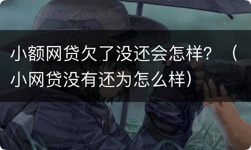 小额网贷欠了没还会怎样？（小网贷没有还为怎么样）