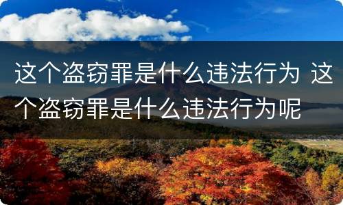 这个盗窃罪是什么违法行为 这个盗窃罪是什么违法行为呢