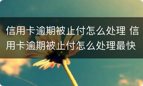 信用卡逾期被止付怎么处理 信用卡逾期被止付怎么处理最快