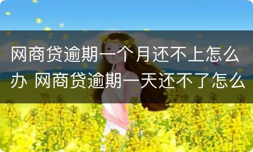 网商贷逾期一个月还不上怎么办 网商贷逾期一天还不了怎么办