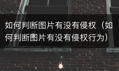 如何判断图片有没有侵权（如何判断图片有没有侵权行为）