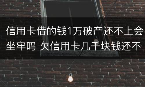 信用卡借的钱1万破产还不上会坐牢吗 欠信用卡几千块钱还不上会坐牢吗
