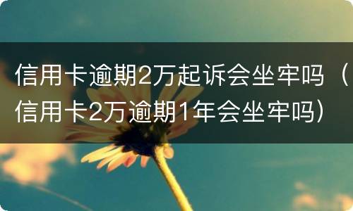 信用卡逾期2万起诉会坐牢吗（信用卡2万逾期1年会坐牢吗）