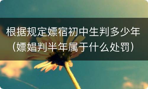 根据规定嫖宿初中生判多少年（嫖娼判半年属于什么处罚）