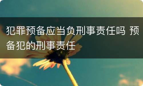 犯罪预备应当负刑事责任吗 预备犯的刑事责任