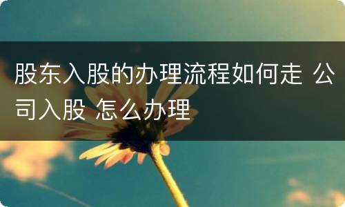 股东入股的办理流程如何走 公司入股 怎么办理