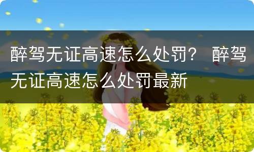 醉驾无证高速怎么处罚？ 醉驾无证高速怎么处罚最新