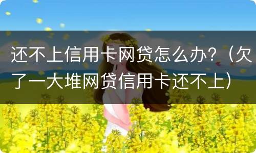 还不上信用卡网贷怎么办?（欠了一大堆网贷信用卡还不上）