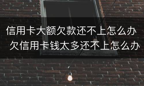 信用卡大额欠款还不上怎么办 欠信用卡钱太多还不上怎么办